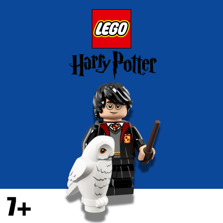 LEGO® Harry Potter™