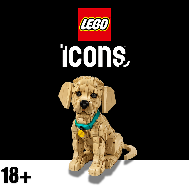 LEGO® Icons