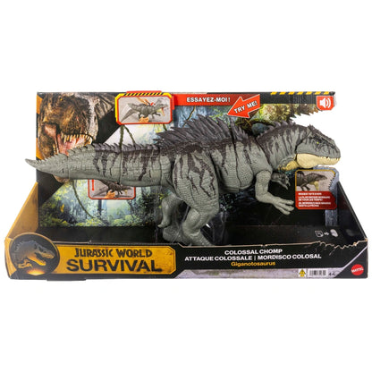 Jurassic World Survival Colossal Chomp Giganotosaurus