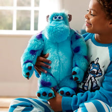 Disney Medium Soft Toy Sulley