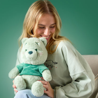 Disney Japan Soft Toy Green Winnie the Pooh