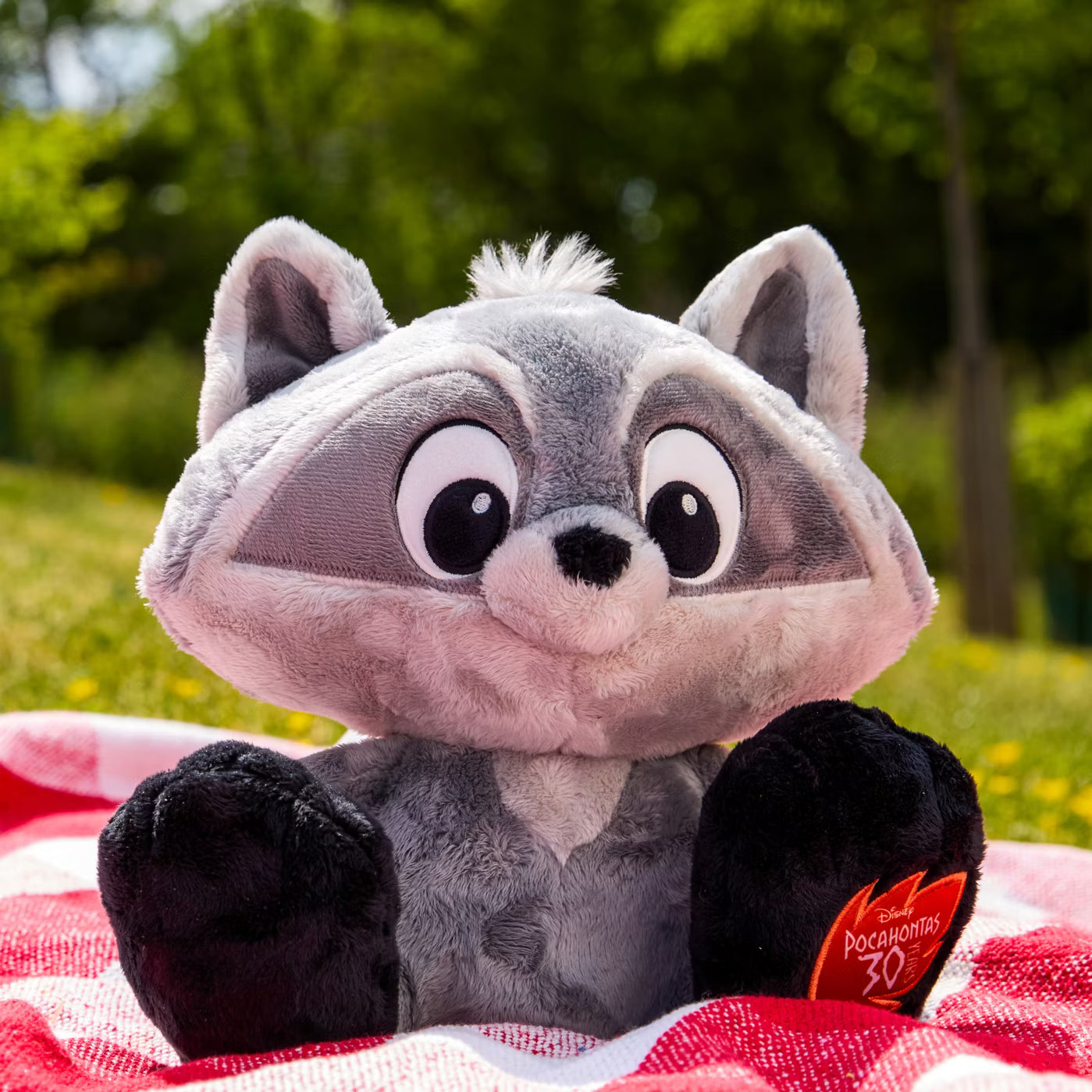 Disney Big Feet Soft Toy Meeko