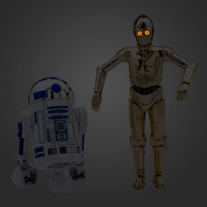 Star Wars Talking Action Figure C-3PO And R2-D2
