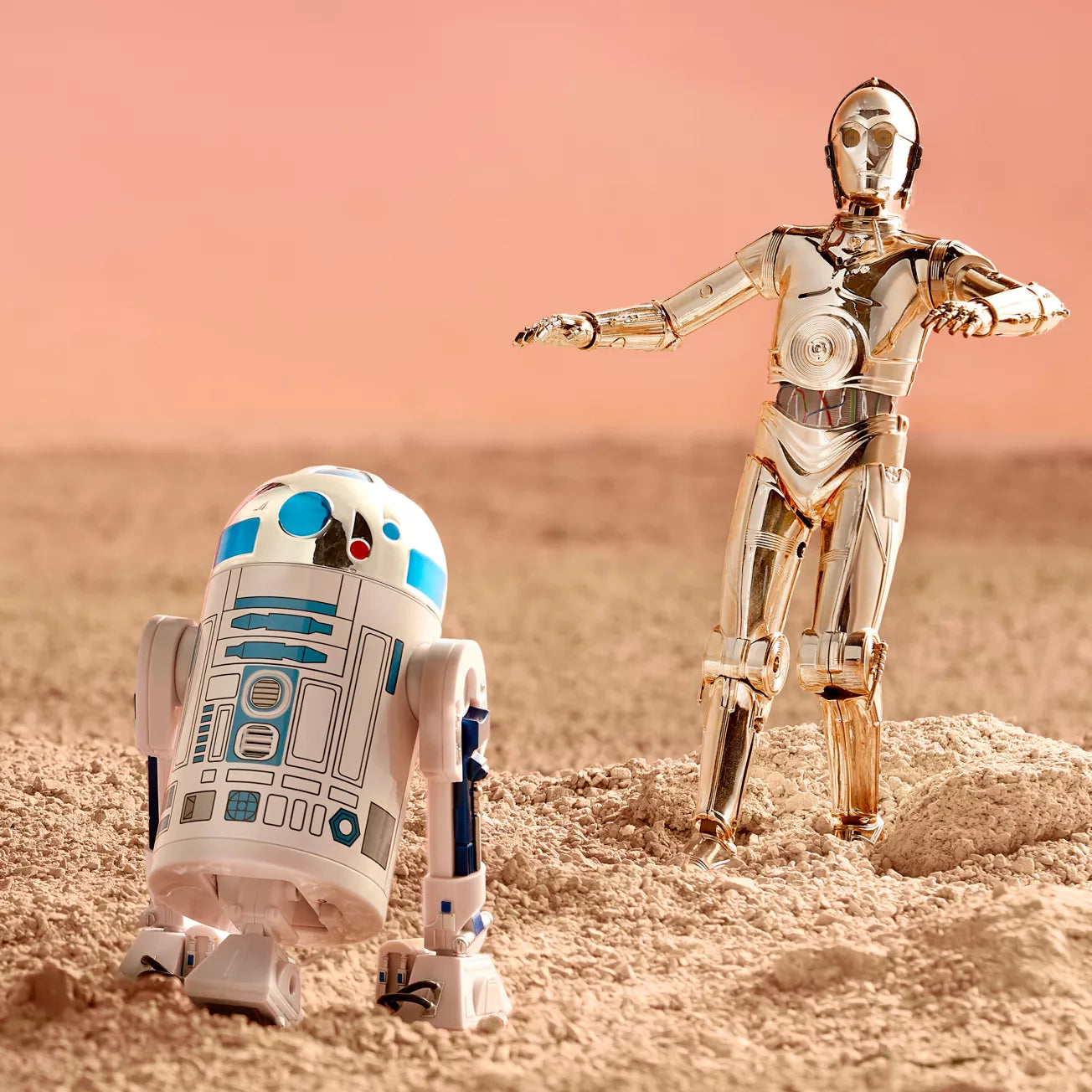 Star Wars Talking Action Figure C-3PO And R2-D2