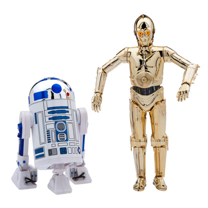 Star Wars Talking Action Figure C-3PO And R2-D2