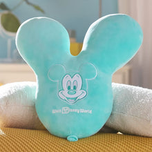 Disney Face Cushion Walt Disney World