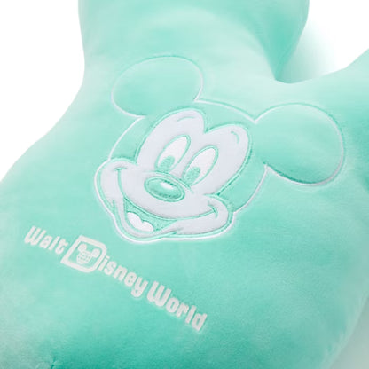 Disney Face Cushion Walt Disney World