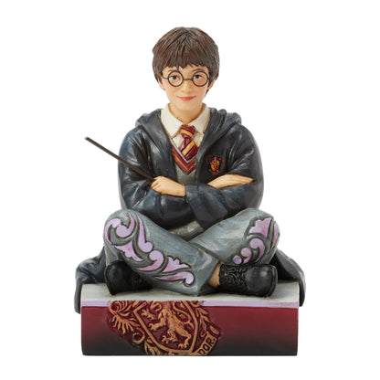 Jim Shore Harry Potter 6016699 Harry Potter