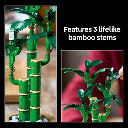 LEGO The Botanical Collection 10344 Lucky Bamboo