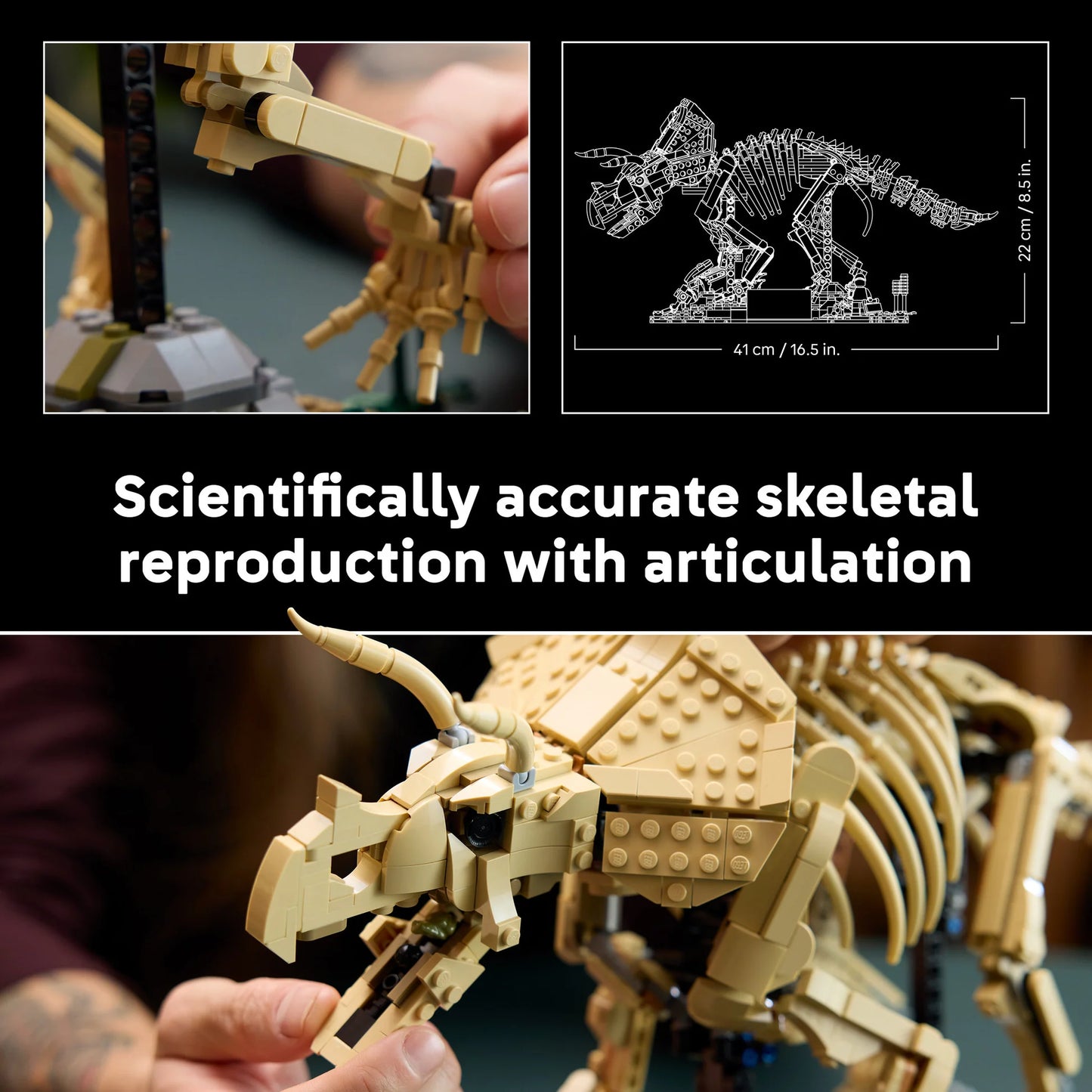 LEGO Jurassic World 77985 Dinosaur Fossils Triceratops