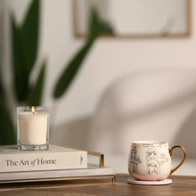 Disney Mugs Premium Collectable - Princess